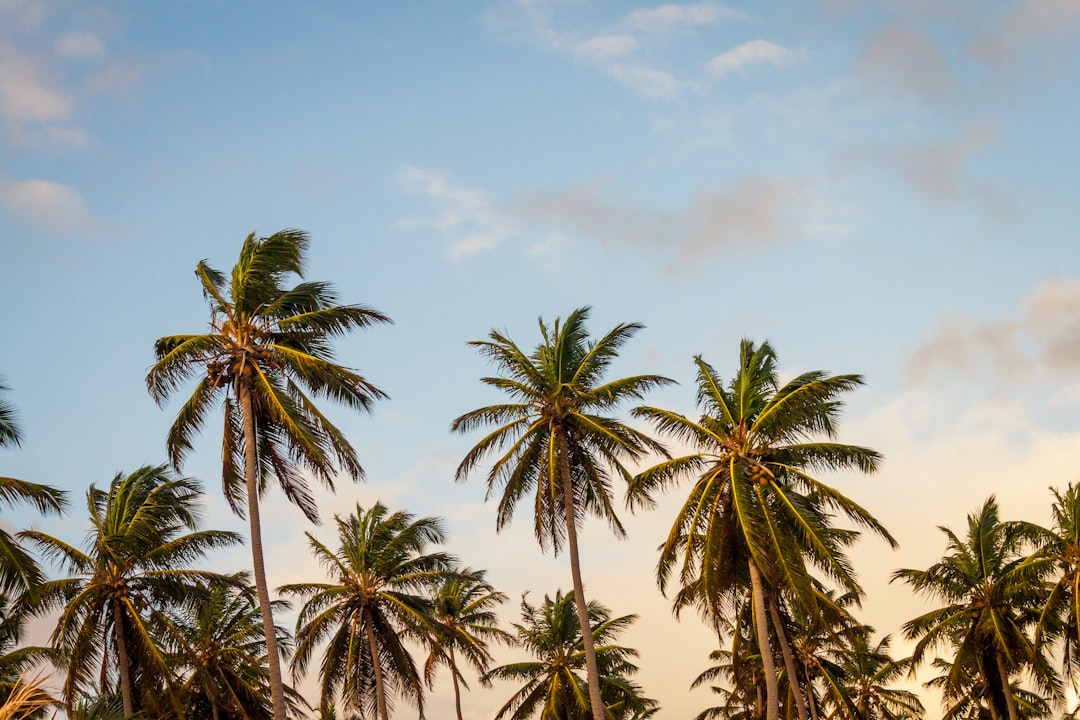 Photo Dominican beach